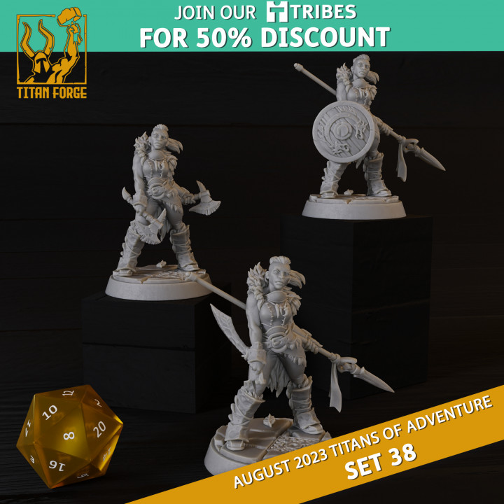 3D Printable Human Female Barbarian - RPG Hero Character D&D 5e ...