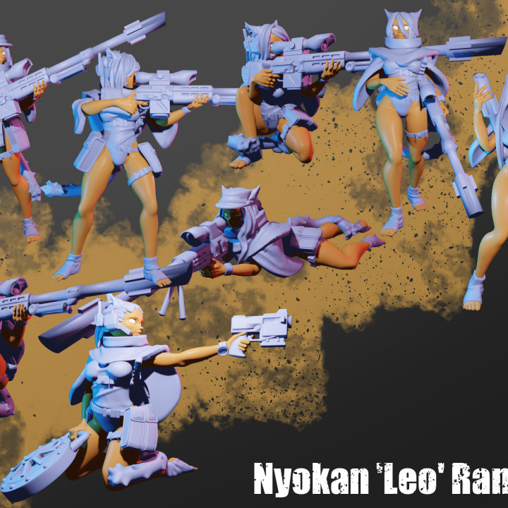 Nyokan Rangers image