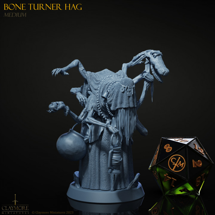 Bone Turner Hag image