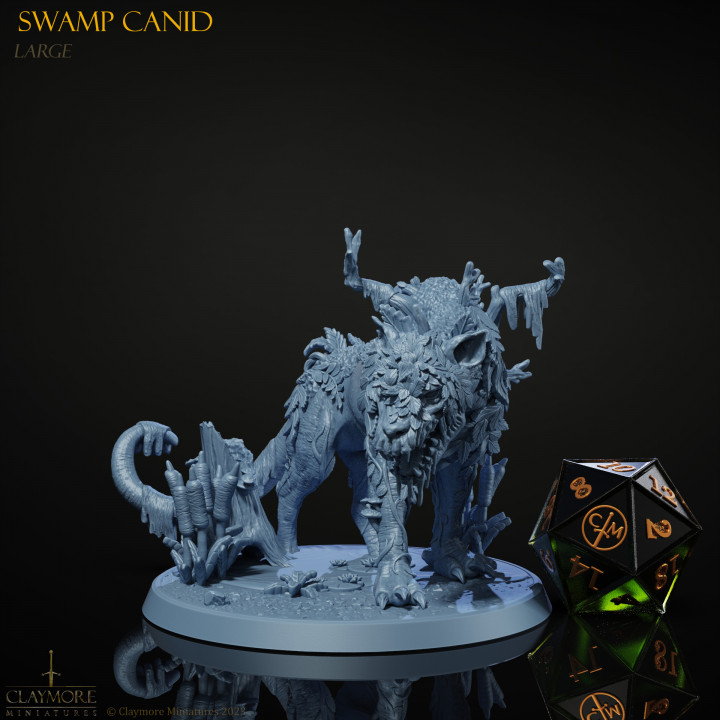 Swamp Canid image