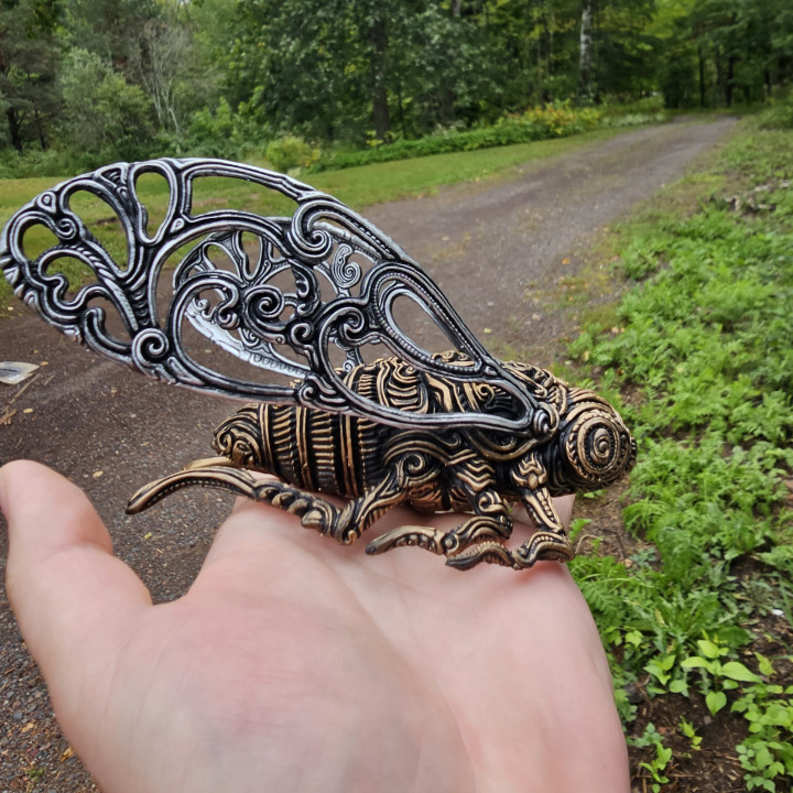 Cicada image