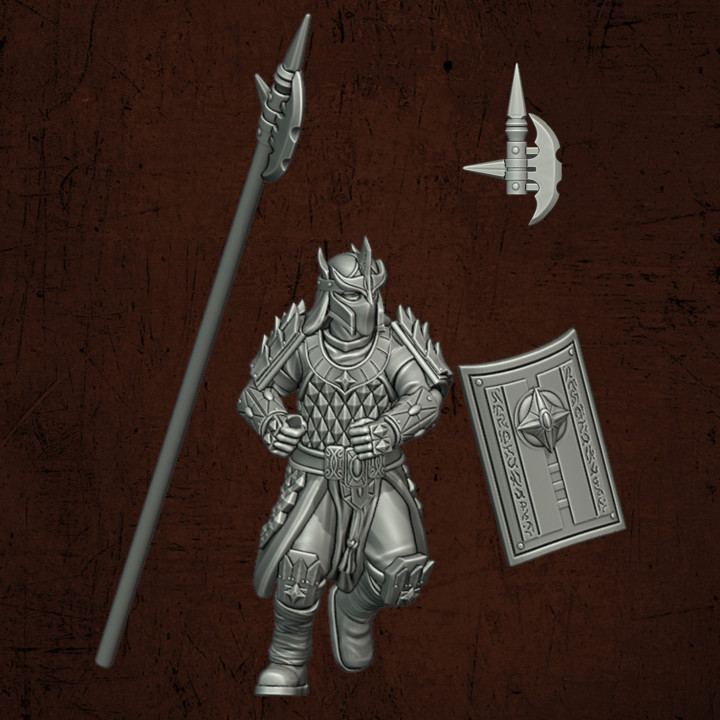 2nd Gen Immortal Warrior Pikemen image