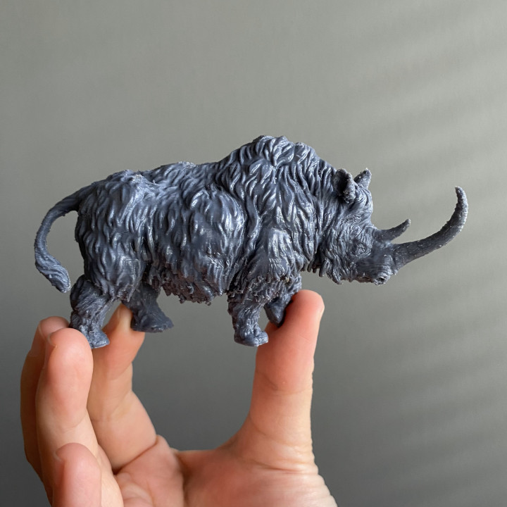 Woolly Rhino image