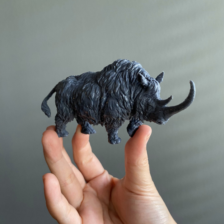 Woolly Rhino image