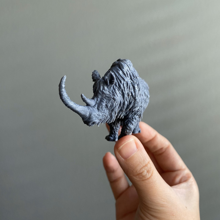 Woolly Rhino image