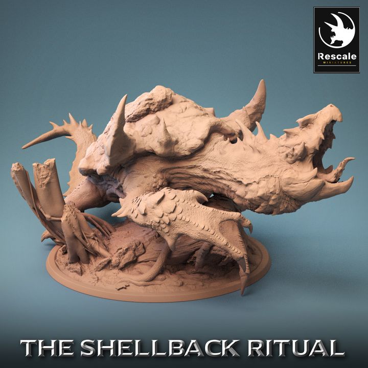 ShellBack Dragont Turtle Roar