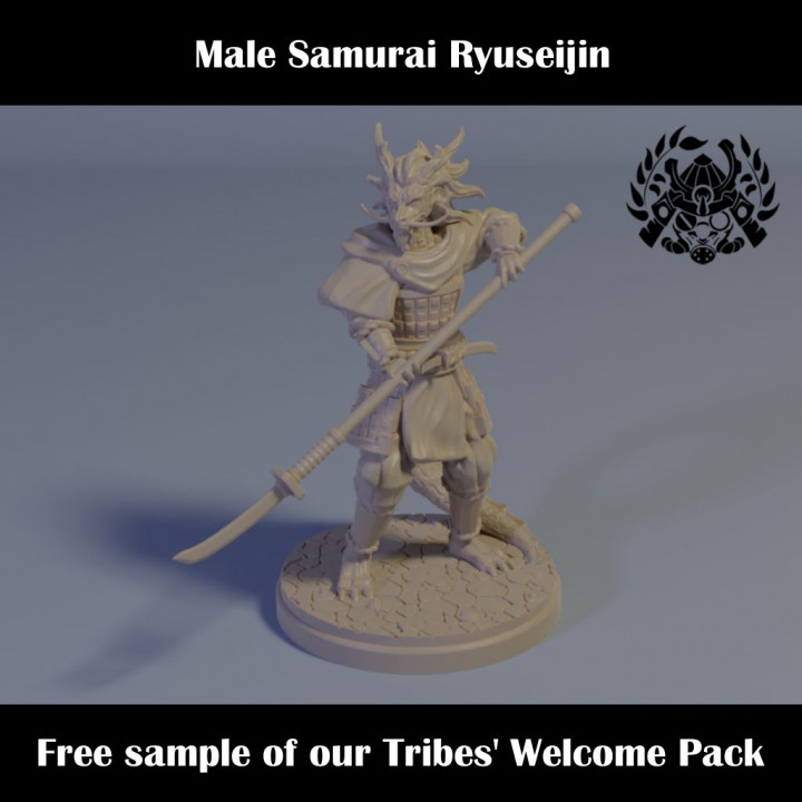 Ryuseijin Male Samurai - Free sample image