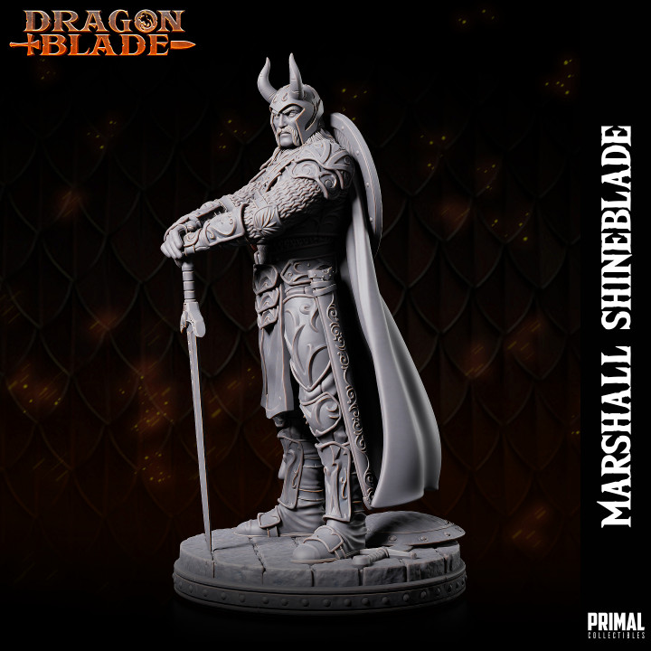 Fighter - Knight - Marshall Shineblade - September 2023 - DRAGONBLADE-  MASTERS OF DUNGEONS QUEST image