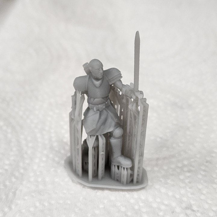Warrior with 2 poses -SagaBorn Vol 1
