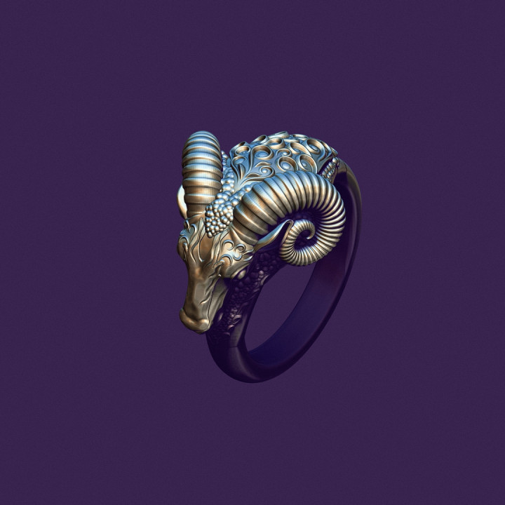 Aries ring in two versions image