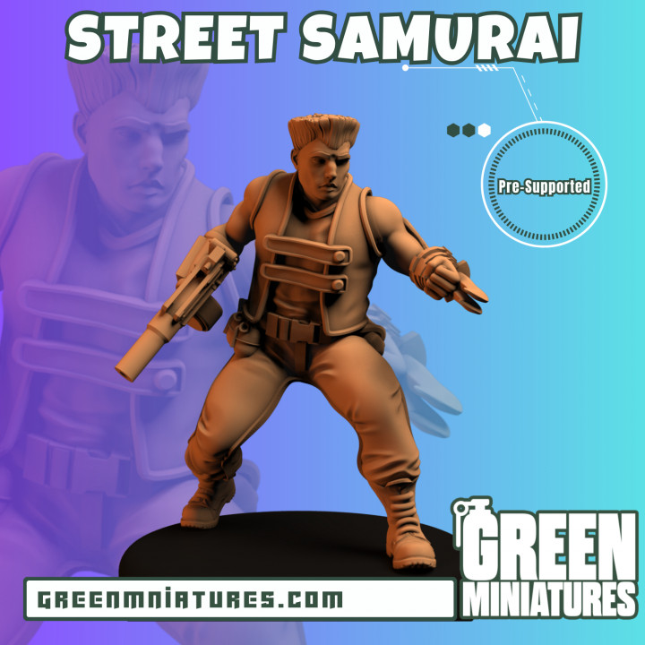 Street Samurai- Cyberpunk image