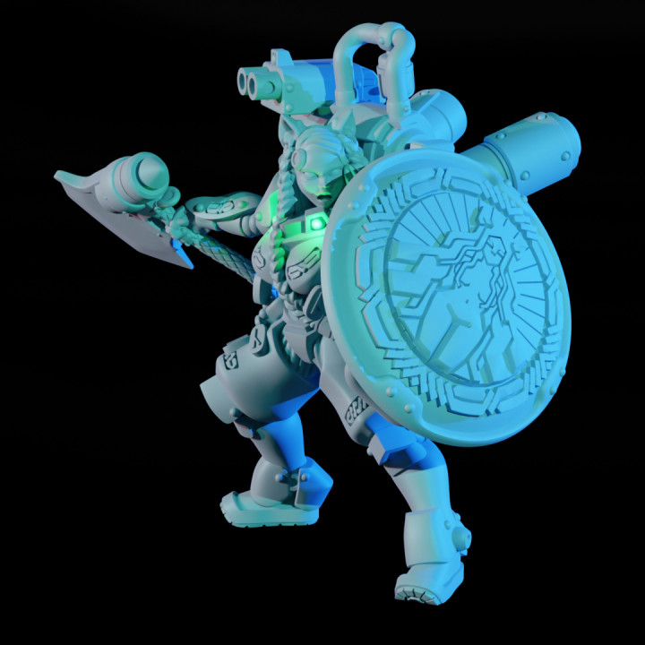 Ironsoul Shield Champion image