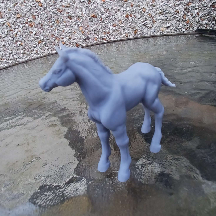Unicorn Foal Set