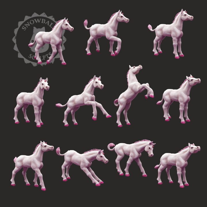 Unicorn Foal Set image