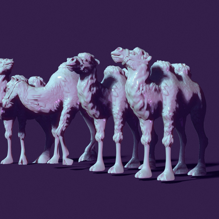 four toy camels, for creating scenes or just for playing image