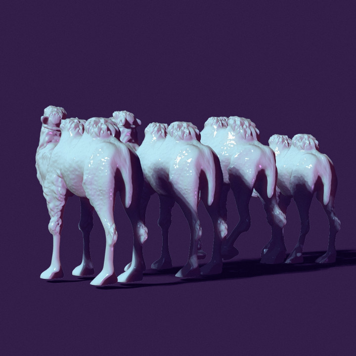 four toy camels, for creating scenes or just for playing image