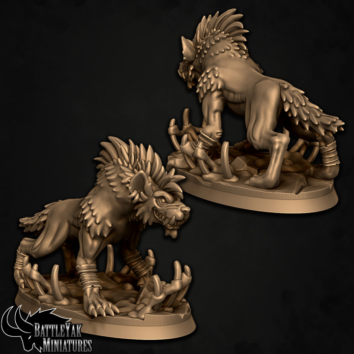 Wildyowl Hyena 2-Pack B image