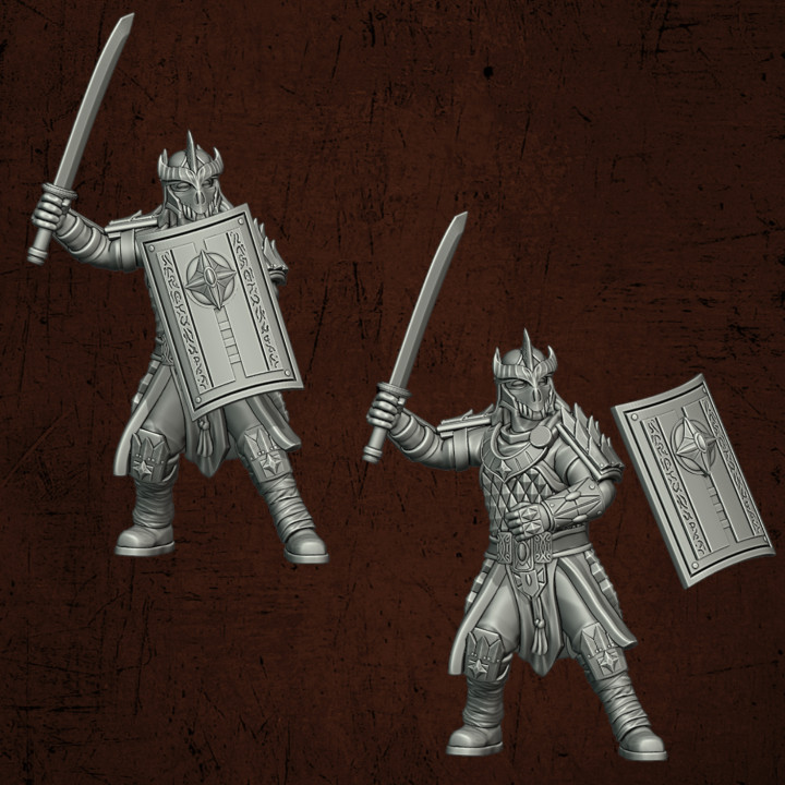 2nd Gen Dragon Guard Swordsmen image