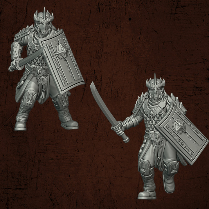 2nd Gen Dragon Guard Swordsmen image