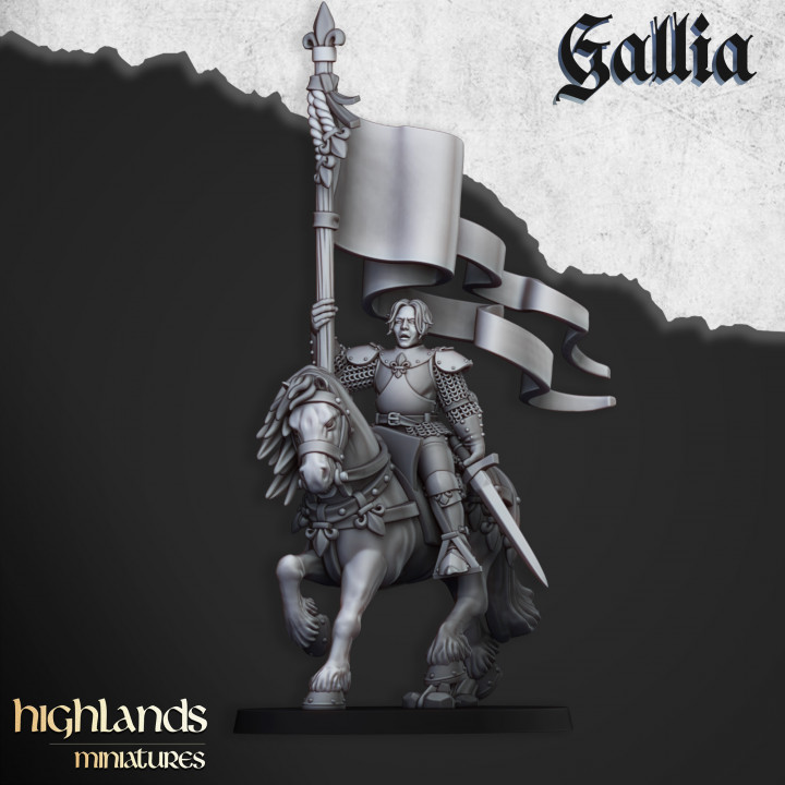 Baroness of Gallia - Highlands Miniatures image