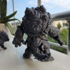 Mechok, Turtle Troll | Turnbone Kostenuri