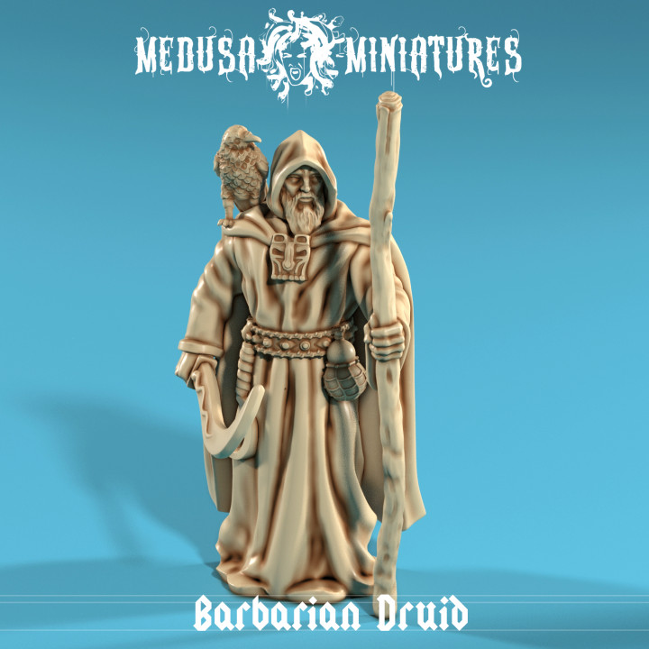 Barbarian Druid image