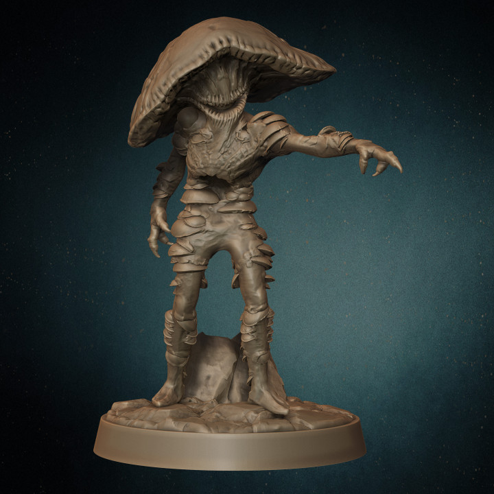 Fungoids - 3 variations - 2 poses each - Whispering Forest II