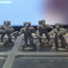 Picture of print of Armatis Mors - Scouts Squad x6