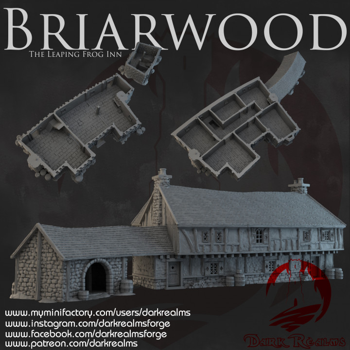 Dark Realms - Briarwood - The Leaping Frog Inn image