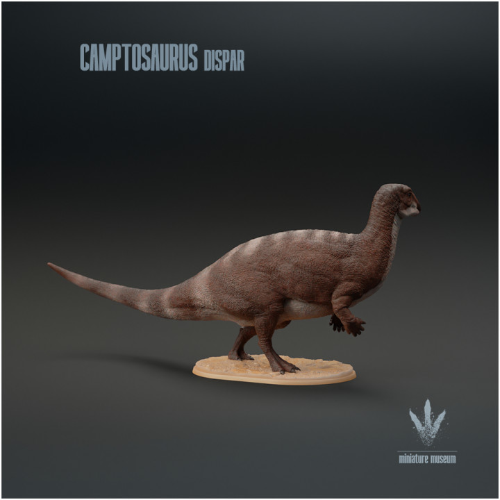 Camptosaurus dispar : The Flexible Lizard image