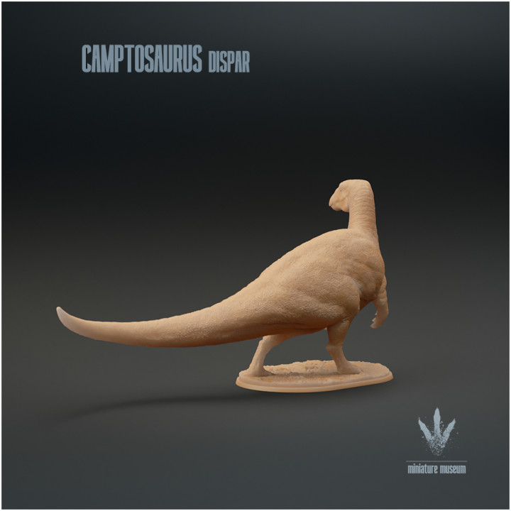 Camptosaurus dispar : The Flexible Lizard image