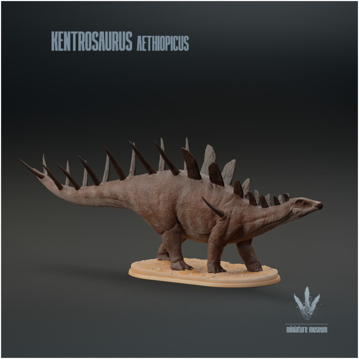 Kentrosaurus aethiopicus : The Prickle Lizard image