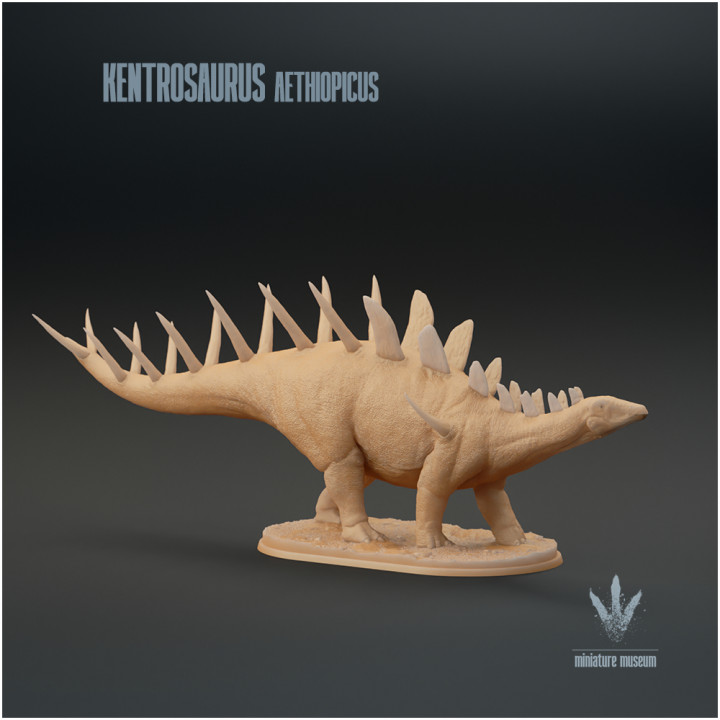 Kentrosaurus aethiopicus : The Prickle Lizard image
