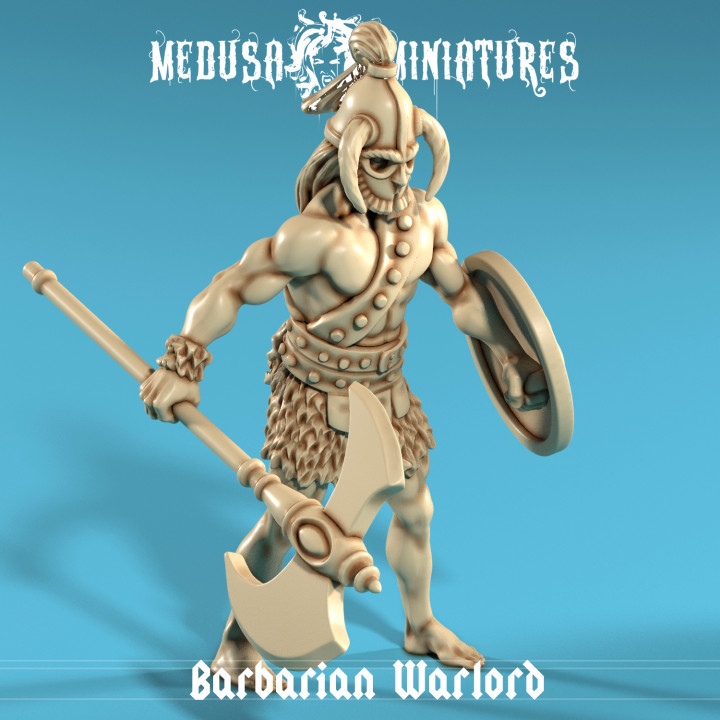 Barbarian Warlord with Axe and Shield image