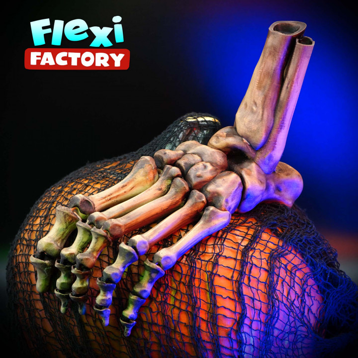 Public Release: Flexi Factory Skeleton Foot image
