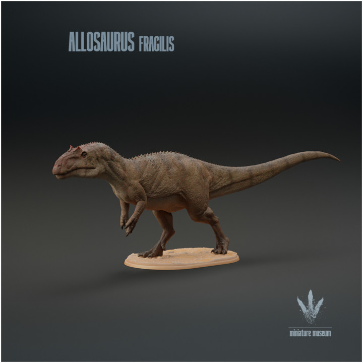 Allosaurus fragilis : The Jurassic Terror image