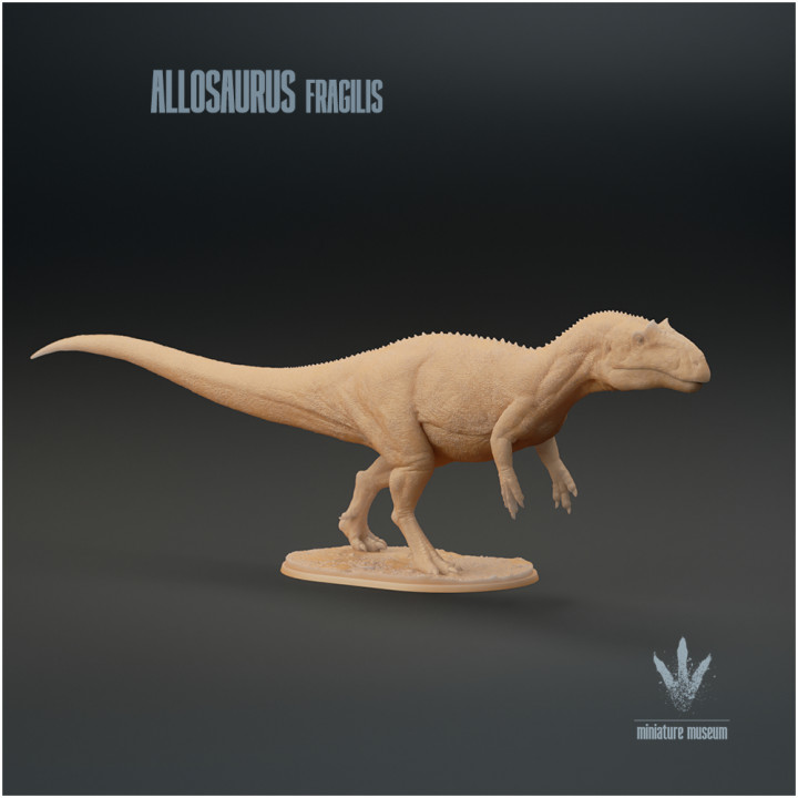 Allosaurus fragilis : The Jurassic Terror image