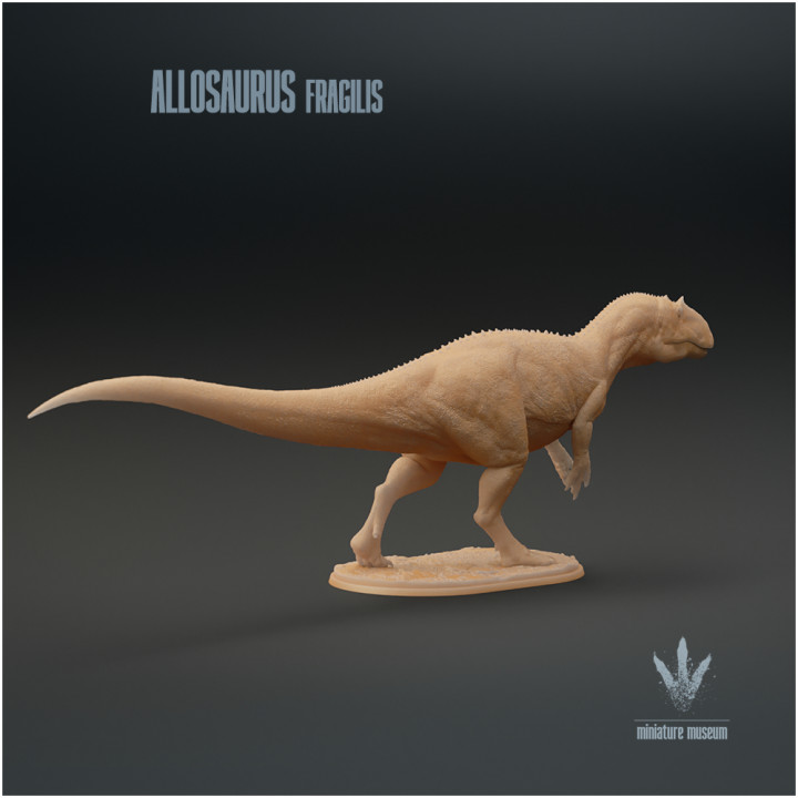 Allosaurus fragilis : The Jurassic Terror image