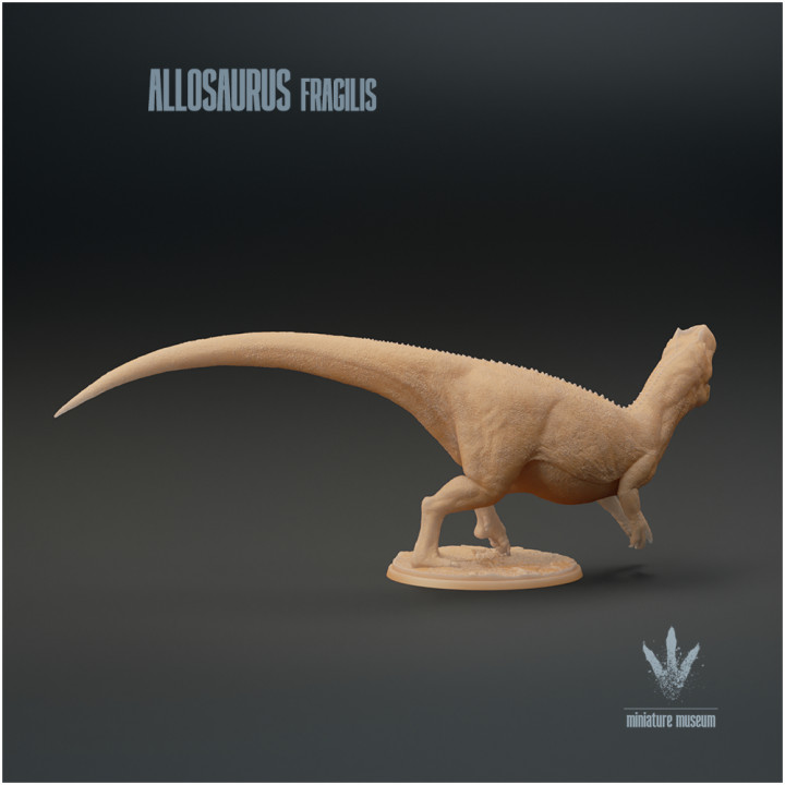 Allosaurus fragilis : Apex Predator image