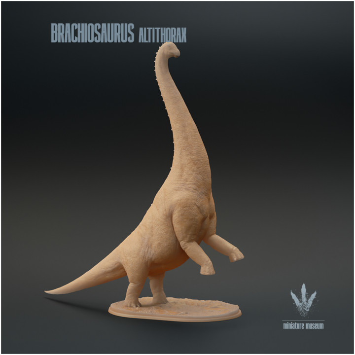 Brachiosaurus altithorax : Standing image