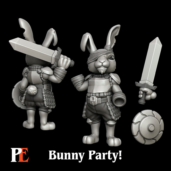 Bunny Fighter image