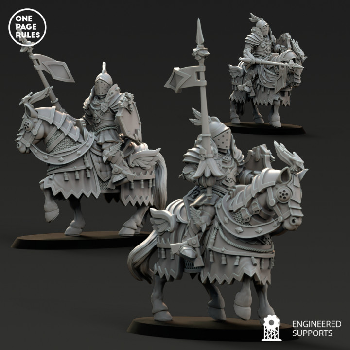 Empire Guard Knights image