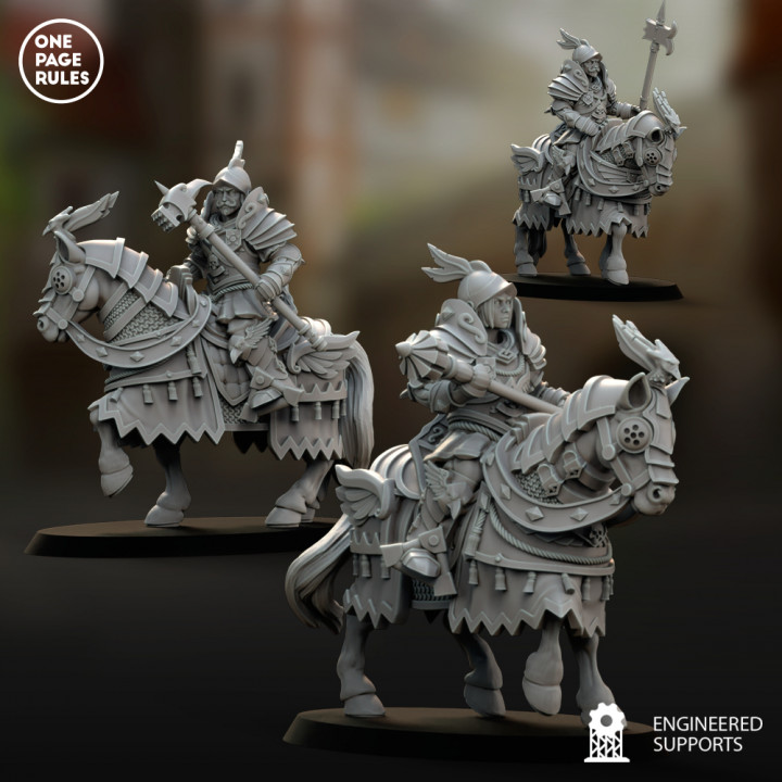 Empire Guard Knights image