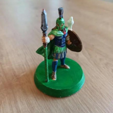 Picture of print of Acretius "The Lord of Pidgeons" - 3D printable miniature – STL file