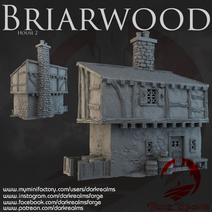 Dark Realms - Briarwood - House 2 image