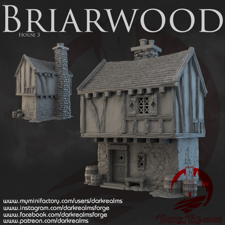 Dark Realms - Briarwood - House 3 image