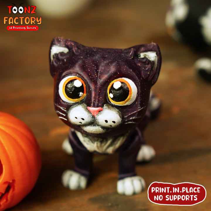 CUTE FLEXI HALLOWEEN CAT image