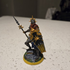 Picture of print of Rowan the Paladin