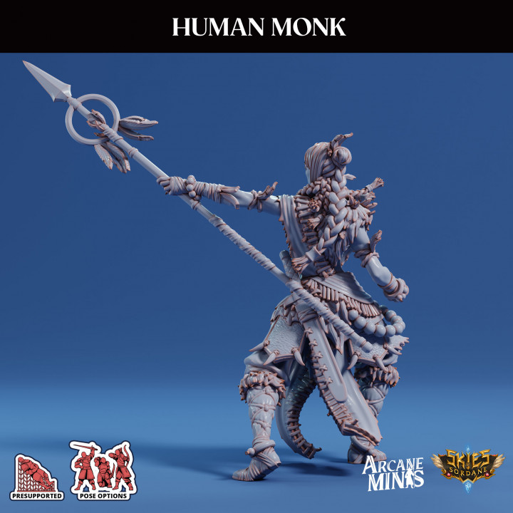 Human Monk - Female