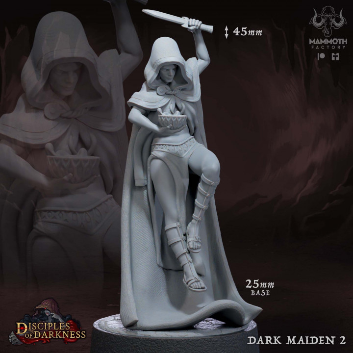 Dark Maidens Warband image